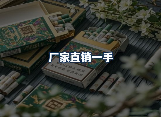 专业团队办公环境